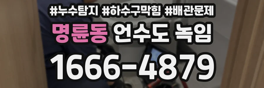 명륜동 언수도 녹임