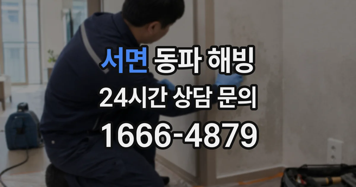 서면 동파 해빙