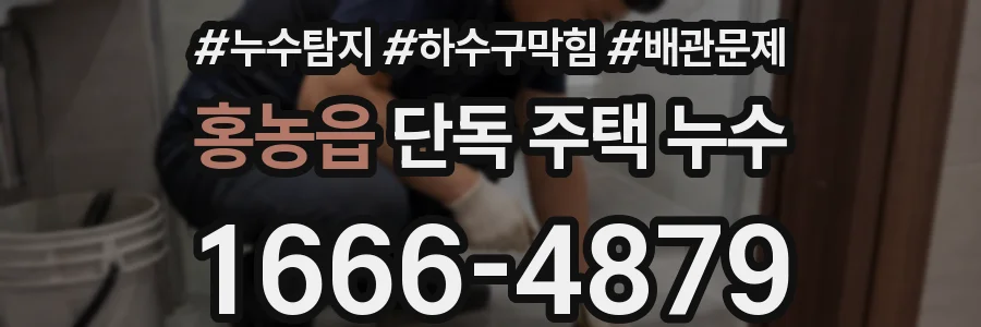 홍농읍 단독 주택 누수