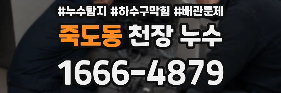 죽도동 천장 누수