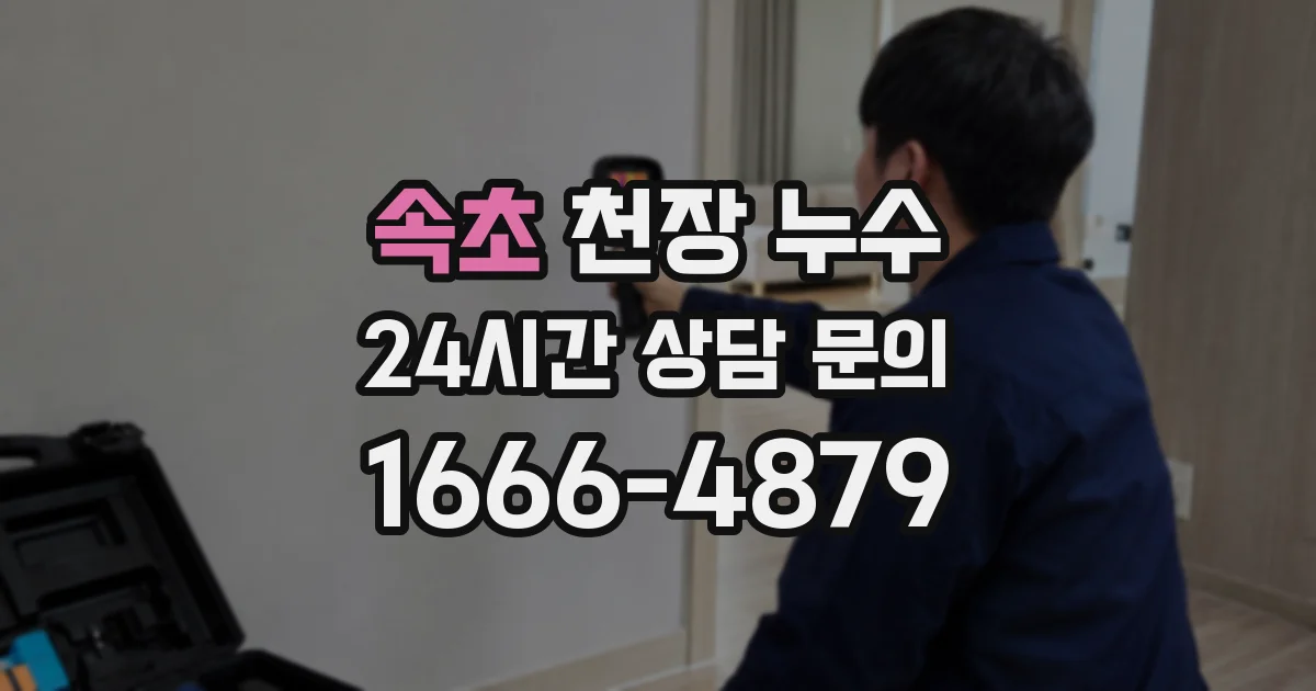 속초 천장 누수