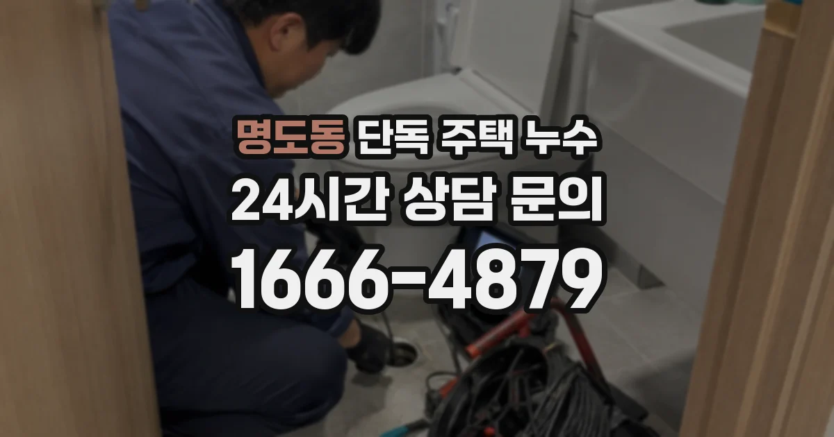 명도동 단독 주택 누수