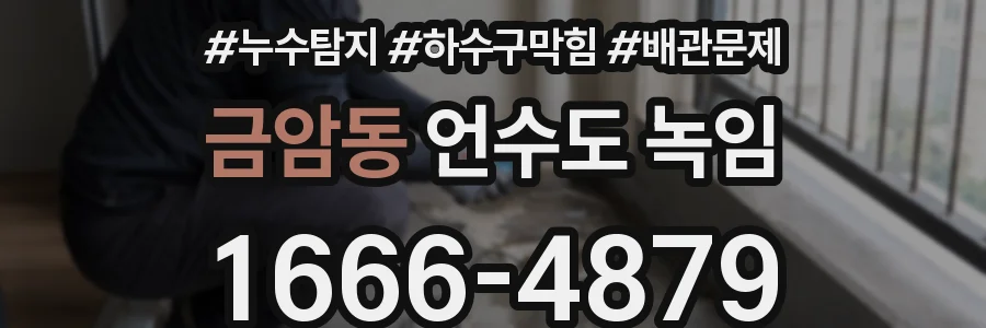 금암동 언수도 녹임