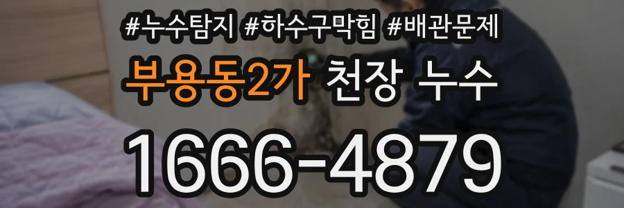 부용동2가 천장 누수
