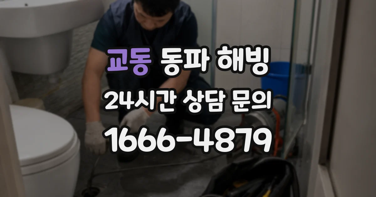 교동 동파 해빙