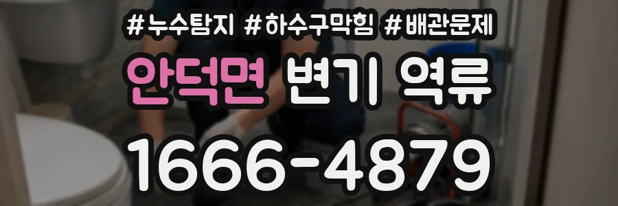 안덕면 변기 역류