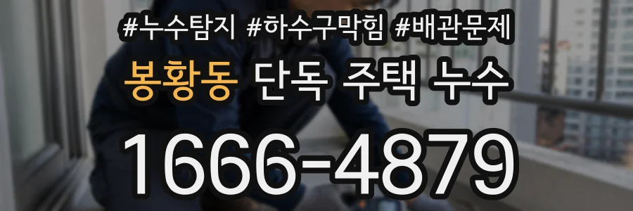 봉황동 단독 주택 누수