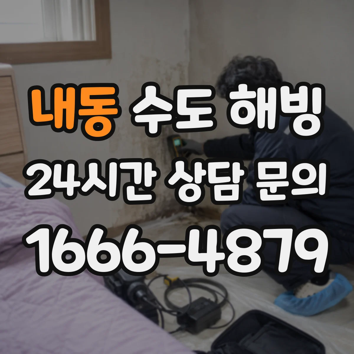 내동 수도 해빙