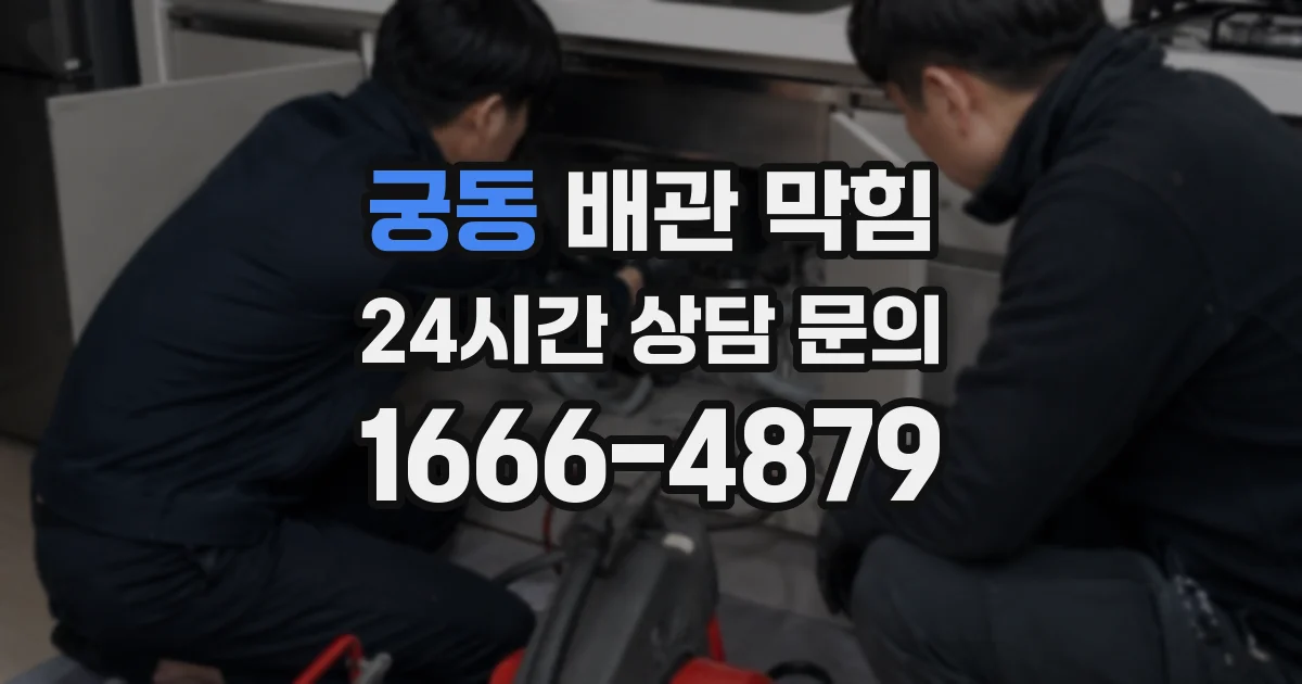 궁동 배관 막힘