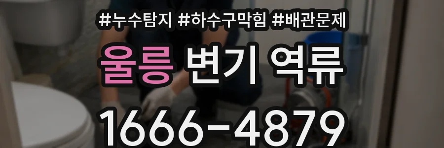울릉 변기 역류