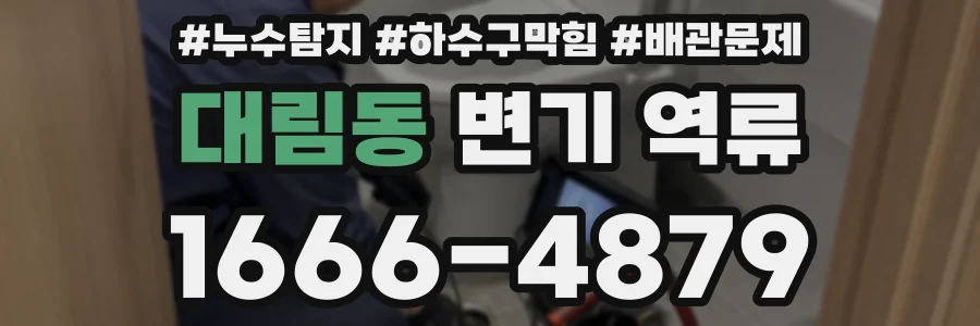 대림동 변기 역류