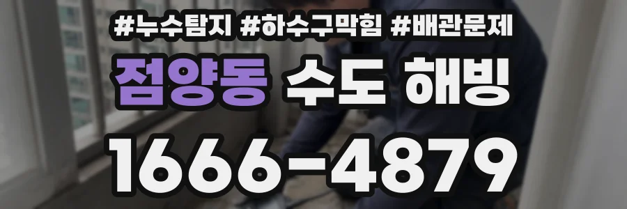 점양동 수도 해빙