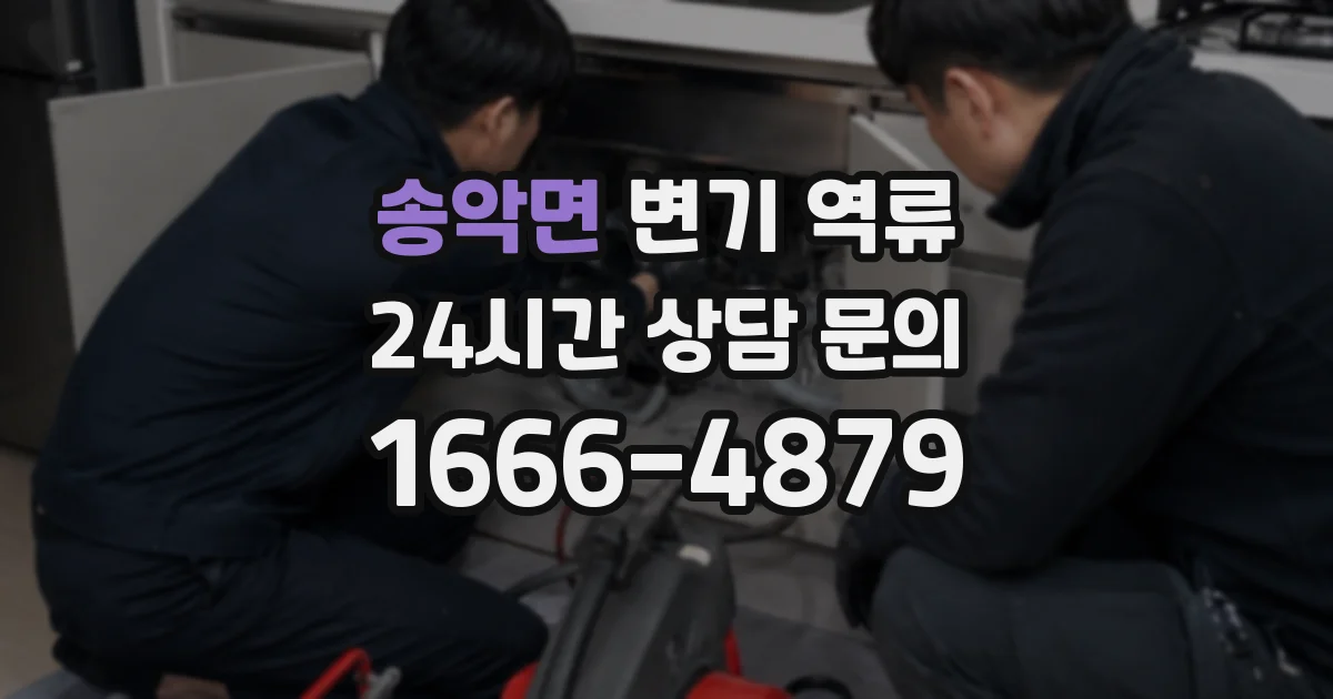 송악면 변기 역류