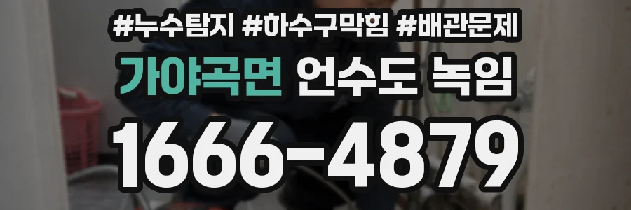 가야곡면 언수도 녹임