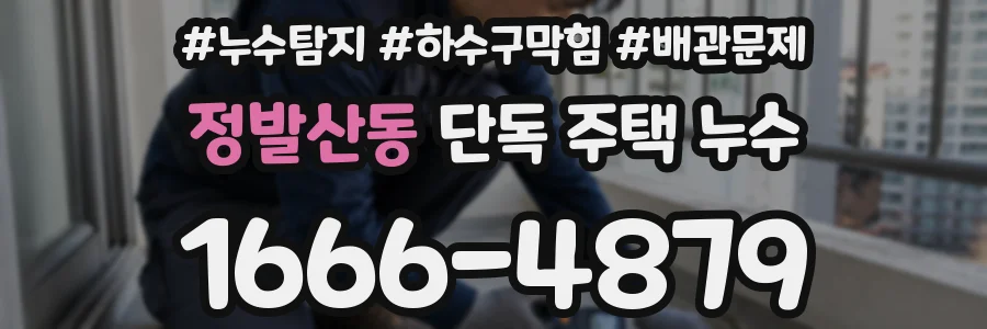 정발산동 단독 주택 누수