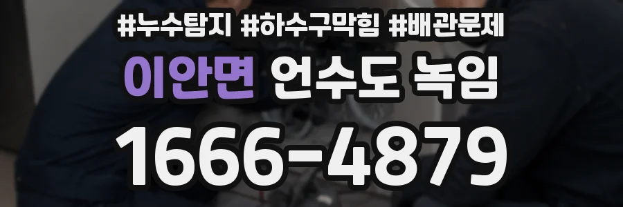 이안면 언수도 녹임