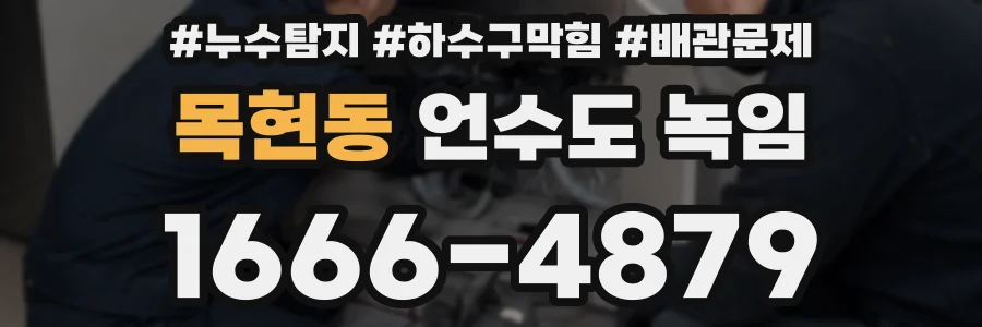 목현동 언수도 녹임