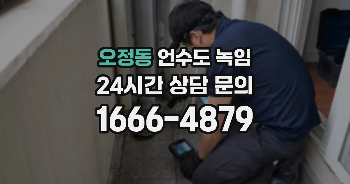 오정동 언수도 녹임