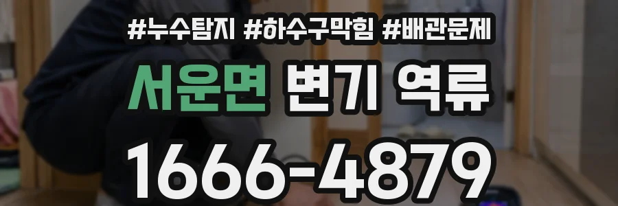 서운면 변기 역류