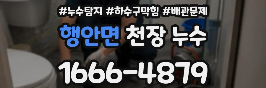 행안면 천장 누수