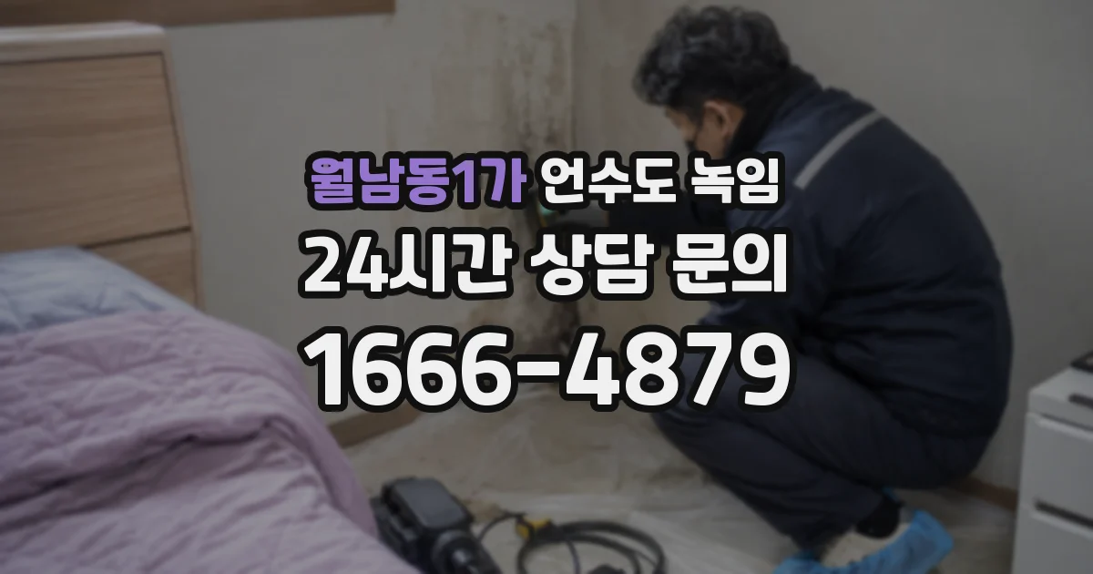 월남동1가 언수도 녹임