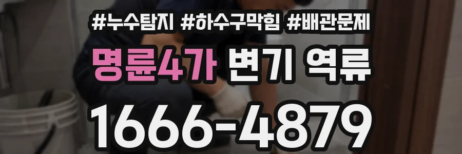 명륜4가 변기 역류