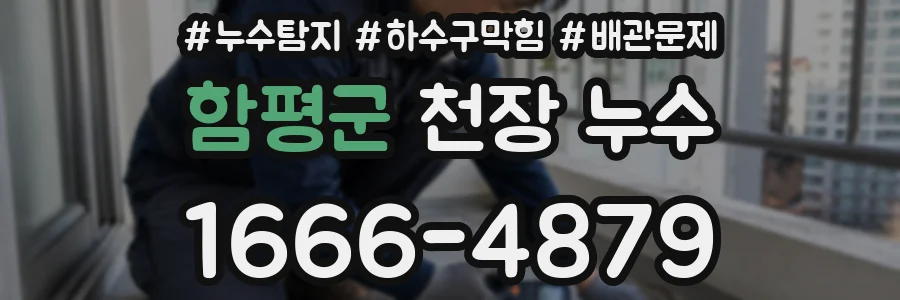 함평군 천장 누수
