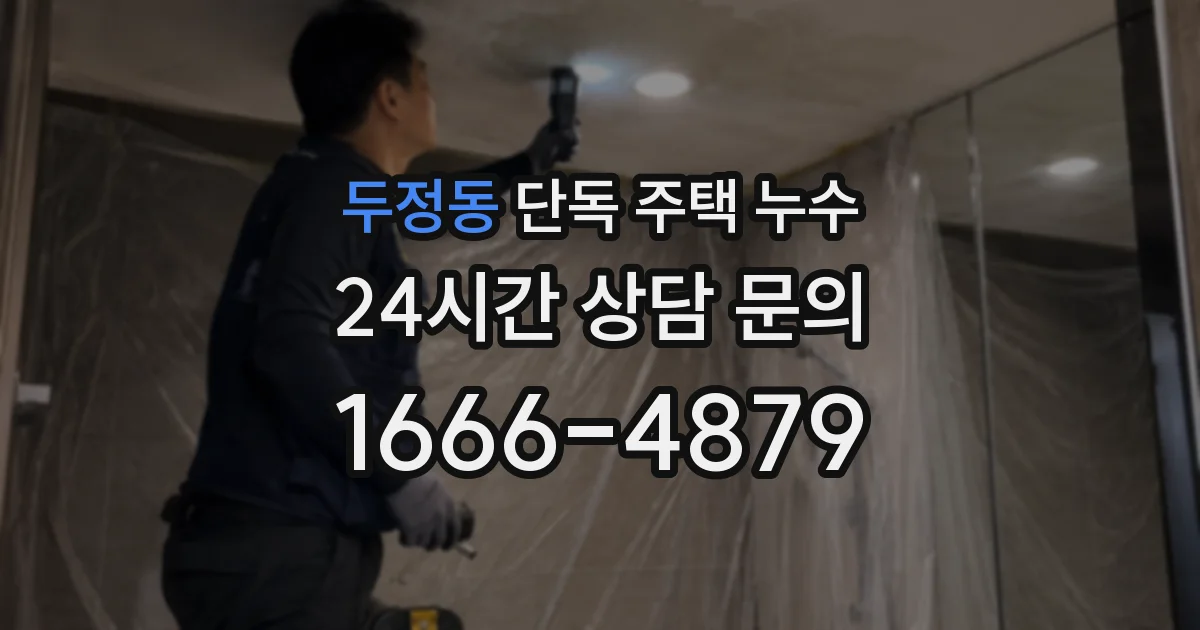 두정동 단독 주택 누수