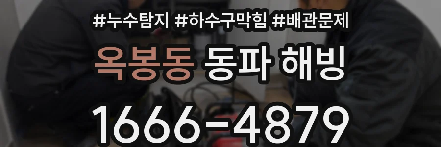 옥봉동 동파 해빙