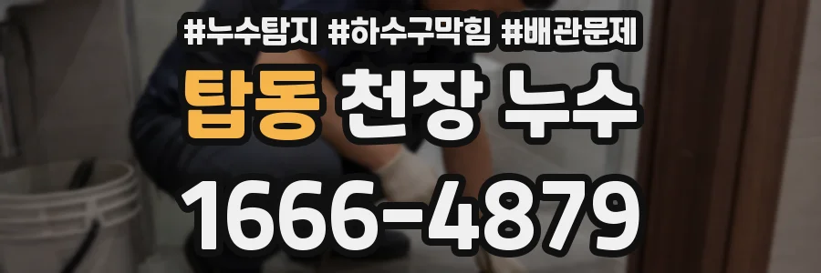 탑동 천장 누수