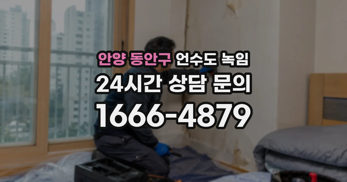 안양 동안구 언수도 녹임