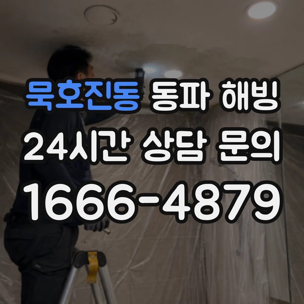 묵호진동 동파 해빙