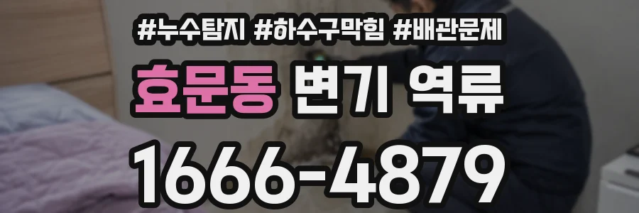 효문동 변기 역류