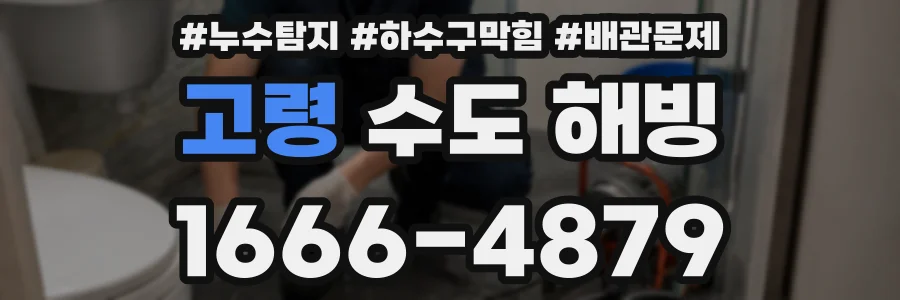 고령 수도 해빙