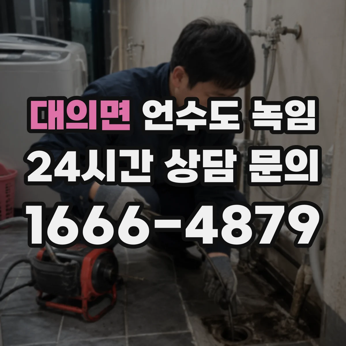 대의면 언수도 녹임