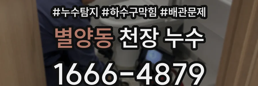 별양동 천장 누수