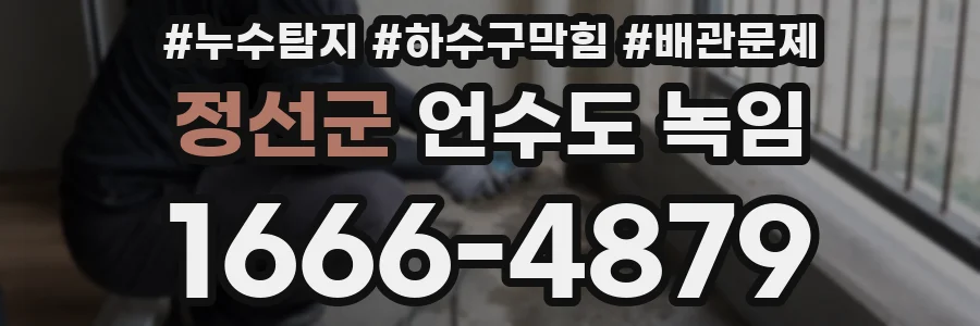 정선군 언수도 녹임