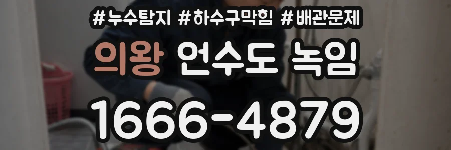 의왕 언수도 녹임