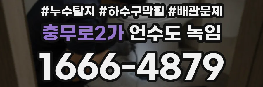충무로2가 언수도 녹임