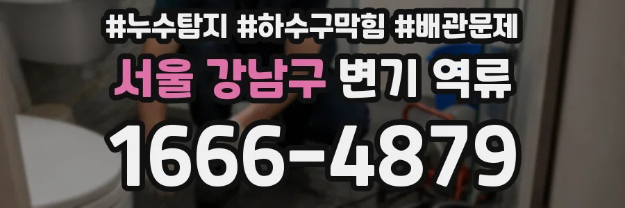 서울 강남구 변기 역류