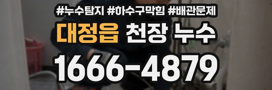 대정읍 천장 누수
