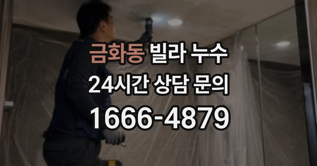 금화동 빌라 누수