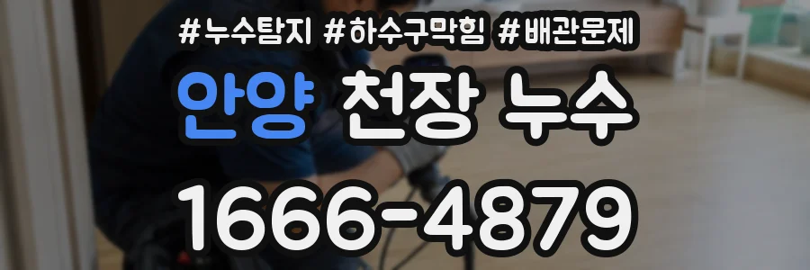 안양 천장 누수
