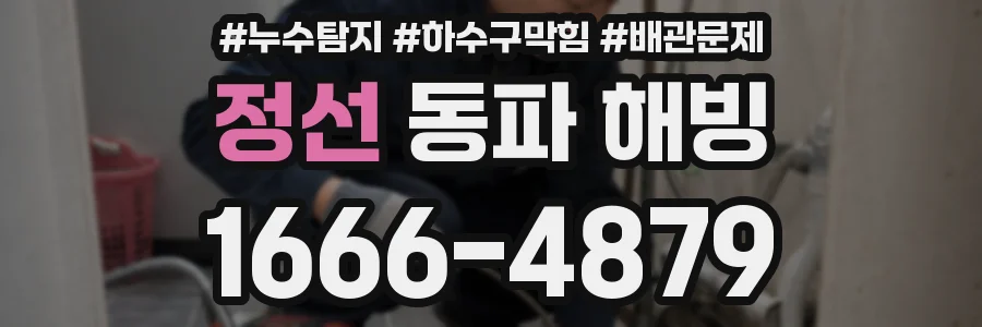 정선 동파 해빙
