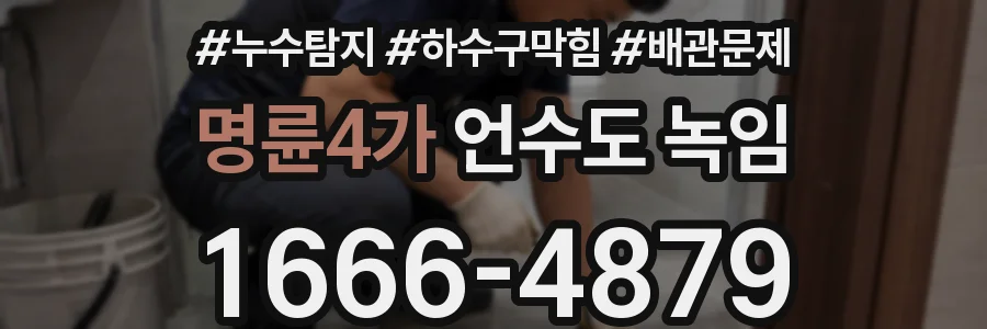 명륜4가 언수도 녹임
