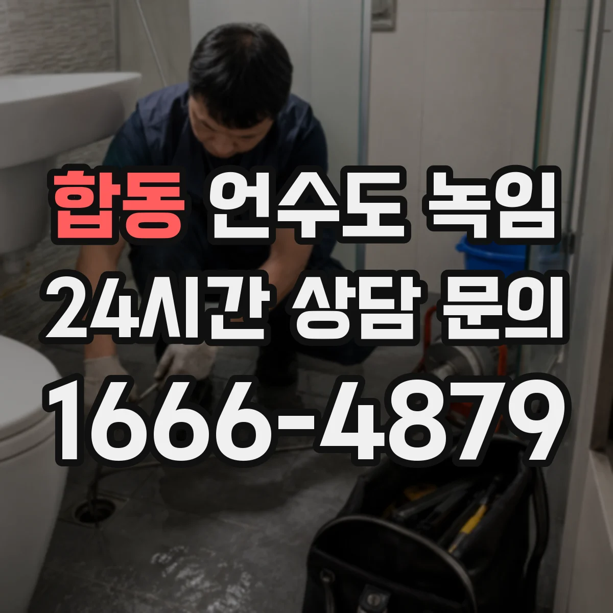 합동 언수도 녹임