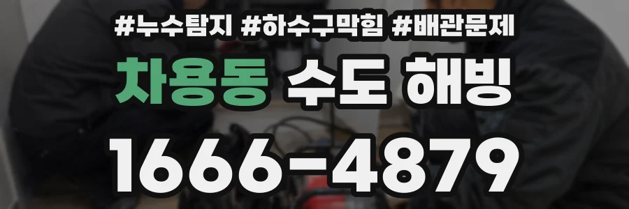 차용동 수도 해빙