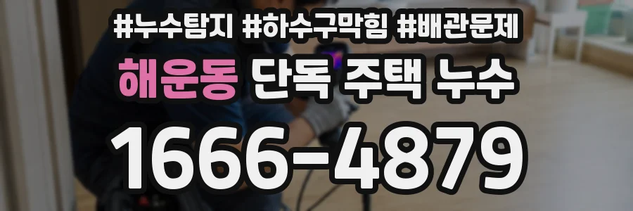 해운동 단독 주택 누수