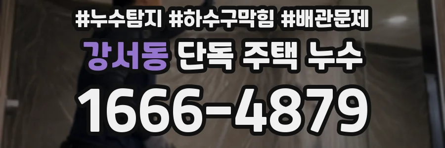 강서동 단독 주택 누수