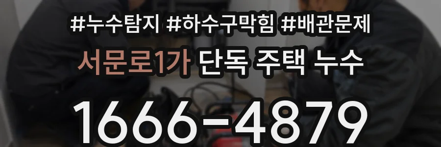 서문로1가 단독 주택 누수